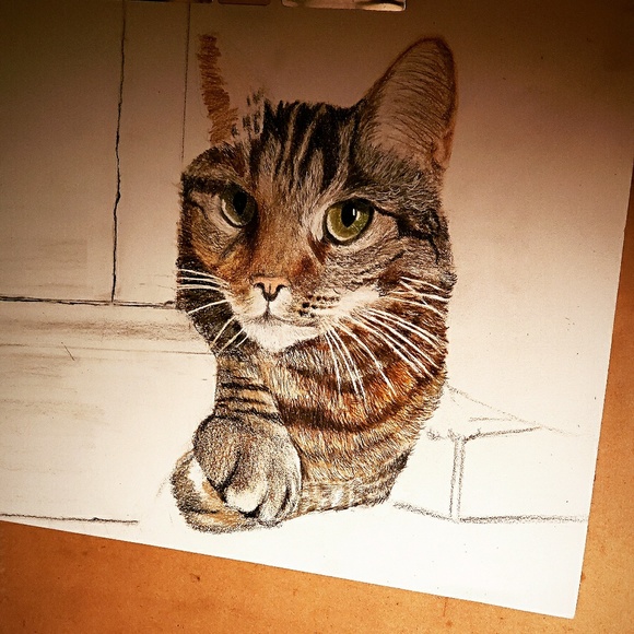 Meet the Posher - Picture 5 of 8